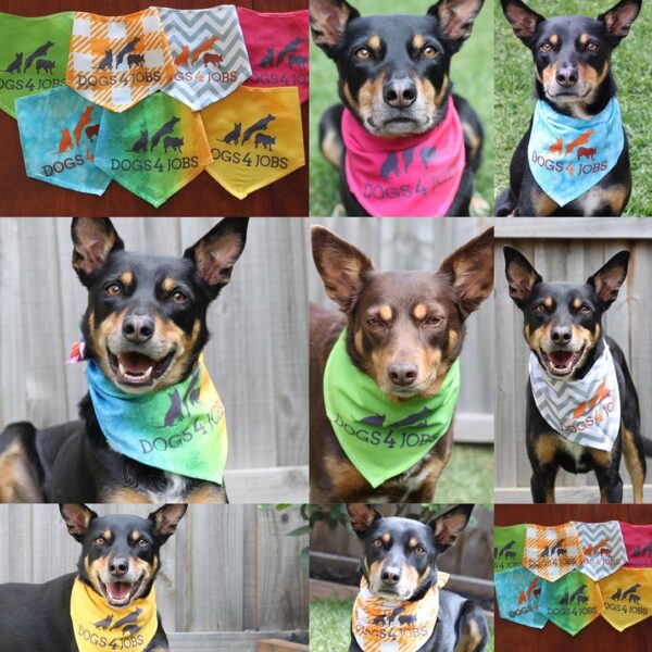 Dogs4Jobs Bandanas