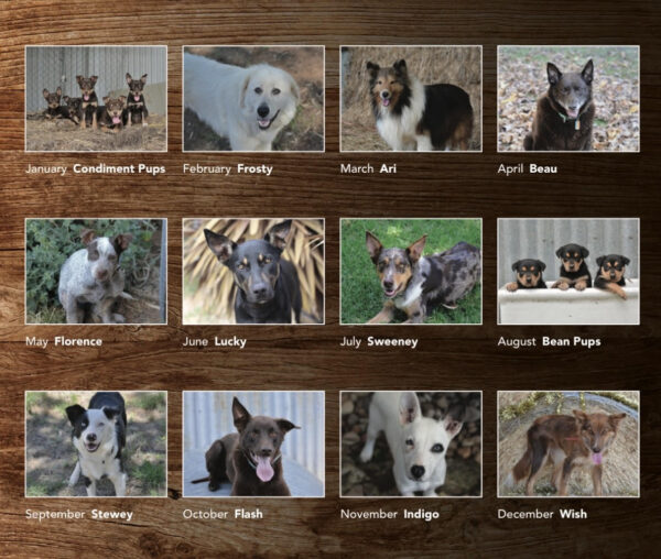 2025 Dogs4Jobs Calendar - Image 2